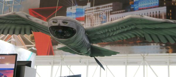  Беспилотник в виде полярной совы на форуме АРМИЯ-2019 - 俄羅斯衛星通訊社