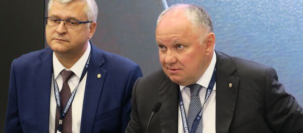 俄罗斯国防出口公司总经理亚历山大∙米赫耶夫 - 俄罗斯卫星通讯社