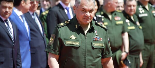 Министр обороны РФ Сергей Шойгу на Международном военно-техническом форуме Армия-2019 - 俄罗斯卫星通讯社