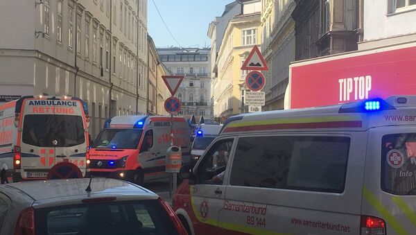 维也纳发生剧烈爆炸 - 俄罗斯卫星通讯社