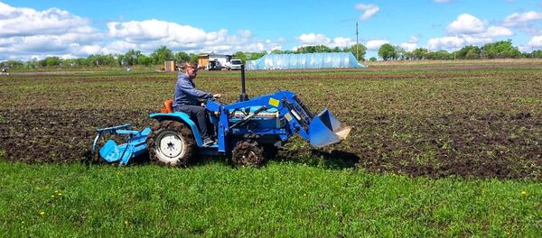 米哈伊爾不後悔，辦公室白領變成大地裡的農民 - 俄羅斯衛星通訊社