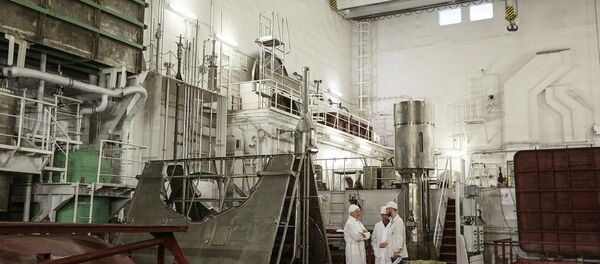 俄技术监督局发放世界首座浮动核电站装置的运营执照 - 俄罗斯卫星通讯社