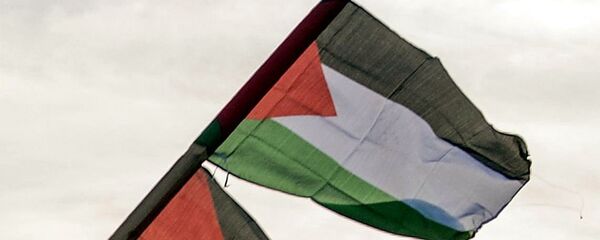 巴勒斯坦國旗 巴勒斯坦國旗 - 俄羅斯衛星通訊社