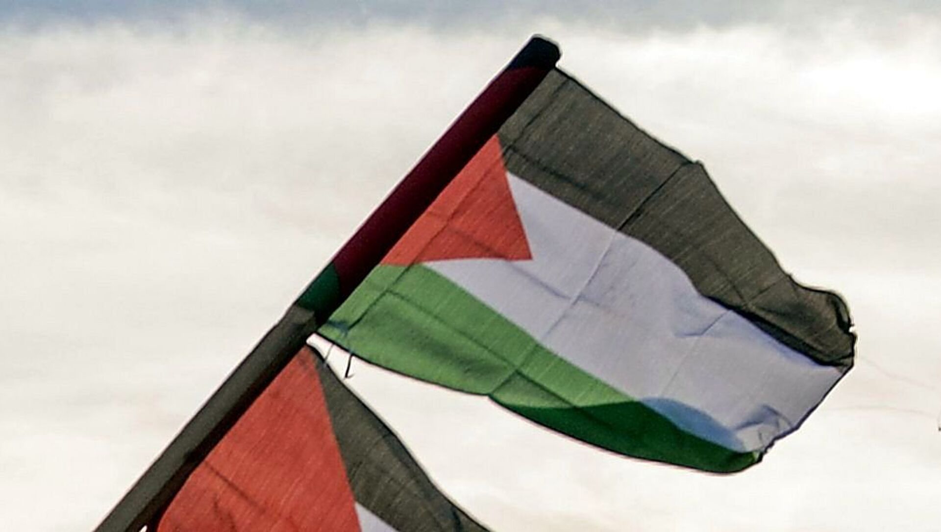 巴勒斯坦常驻联合国代表：联合国安理会必须履行责任结束加沙暴力 - 2023年11月10日, 俄罗斯卫星通讯社