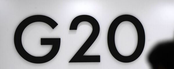 克宫：G20特别峰会结束后预计将通过联合声明 - 俄罗斯卫星通讯社
