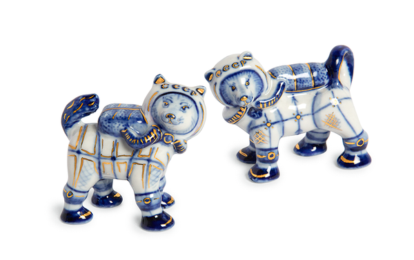 攝影師愛上太空狗 - 俄羅斯衛星通訊社