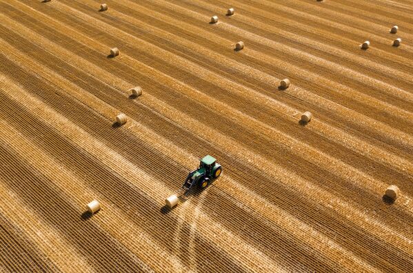 在克拉斯諾達爾邊疆區的田野里準備乾草卷 - 俄羅斯衛星通訊社