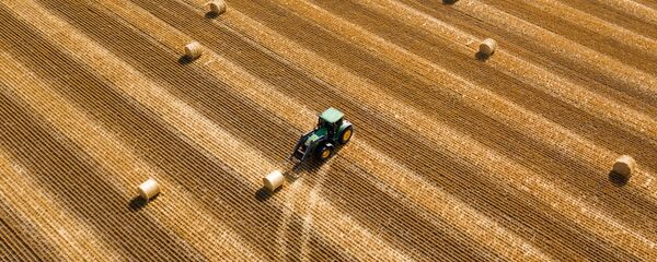 Заготовка рулонов сена на поле в Усть-Лабинском районе Краснодарского края - 俄罗斯卫星通讯社