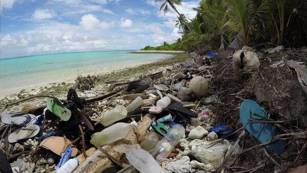 日本首相：G20領導人贊同2050年前禁止向海洋傾倒塑料垃圾的倡議 - 俄羅斯衛星通訊社