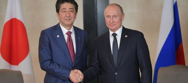 普京和安倍晉三指出俄日關係發展取得重大進展 - 俄羅斯衛星通訊社