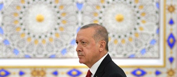 土耳其總統為爭投資和遊客前往中國 - 俄羅斯衛星通訊社