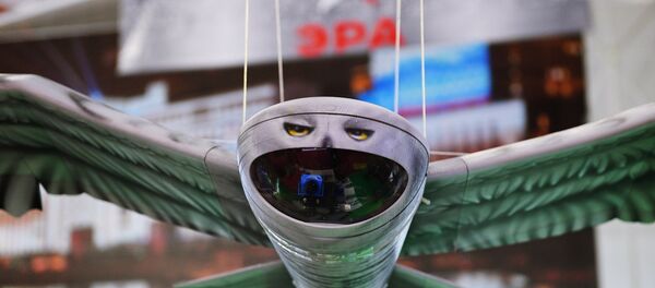 英媒评论俄罗斯的“猫头鹰无人机” - 俄罗斯卫星通讯社