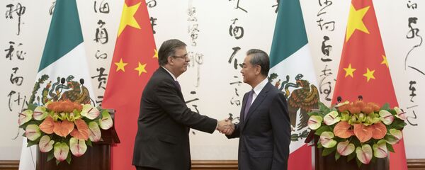 墨西哥外长埃布拉德7月2日在同中国国务委员兼外长王毅举行会谈 - 俄罗斯卫星通讯社