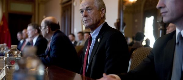 美国白宫贸易顾问彼得·纳瓦罗 美国白宫贸易顾问彼得·纳瓦罗 - 俄罗斯卫星通讯社