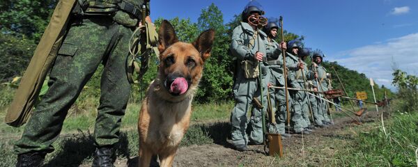 Саперы инженерных войск ВС ЮВО в новых защитных костюмах во время работ по разминированию на минных полях Сунженского района - 俄罗斯卫星通讯社