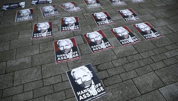 Julian Assange - 俄罗斯卫星通讯社