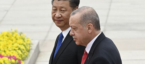 土耳其站在中国一边,玩地缘政治游戏 土耳其站在中国一边,玩地缘政治游戏 - 俄罗斯卫星通讯社