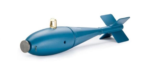 美国攻击机在佛罗里达上空与鸟相撞后意外被撞下三枚训练弹 - 俄罗斯卫星通讯社