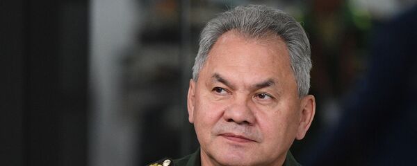 俄羅斯國防部長謝爾蓋•紹伊古 - 俄羅斯衛星通訊社