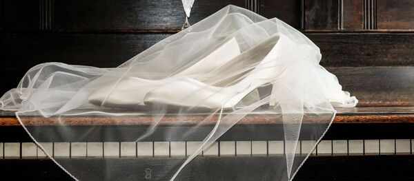 鰥居老人時隔63年找回高中戀人  終成眷屬 - 俄羅斯衛星通訊社