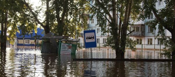 全球气候变化将使欧洲赤松取代西伯利亚落叶松从而导致洪水经常爆发 - 俄罗斯卫星通讯社