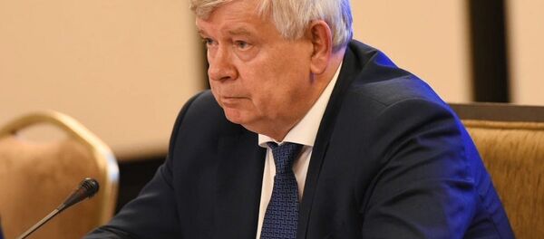 Валерий Семериков - 俄罗斯卫星通讯社