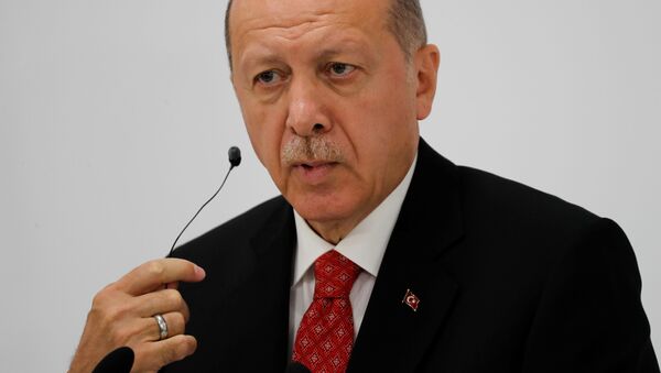 土耳其总统称应该禁止核武器或者让所有国家都可拥有 - 俄罗斯卫星通讯社