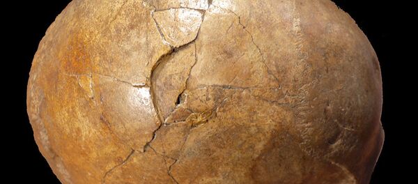 科学家破获33000年前谋杀案 - 俄罗斯卫星通讯社