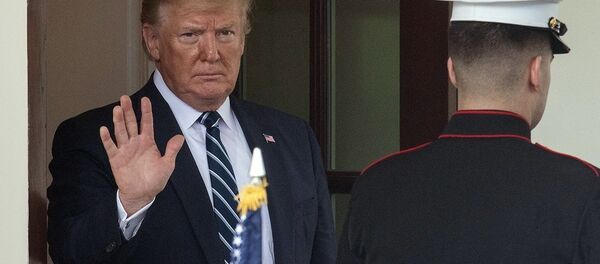 特朗普(资料图片) 特朗普(资料图片) - 俄罗斯卫星通讯社