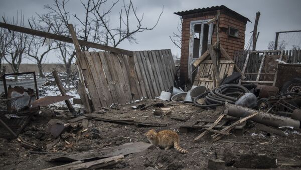 紅十字國際委員會：衝突造成頓巴斯1500多人失蹤 - 俄羅斯衛星通訊社