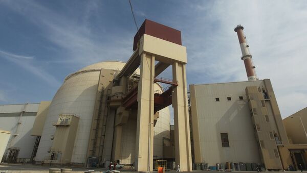 伊朗原子能组织：与俄建设“布什尔”核电站两个机组的进度超过计划 - 俄罗斯卫星通讯社