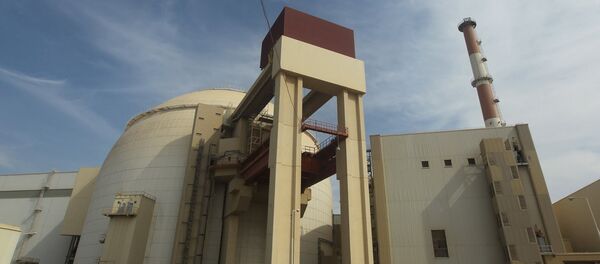 伊朗原子能组织：与俄建设“布什尔”核电站两个机组的进度超过计划 - 俄罗斯卫星通讯社