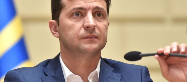 泽连斯基 - 俄罗斯卫星通讯社