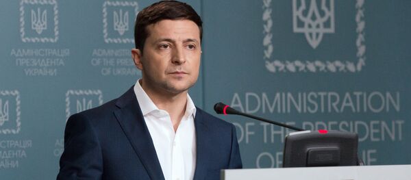 泽连斯基 - 俄罗斯卫星通讯社