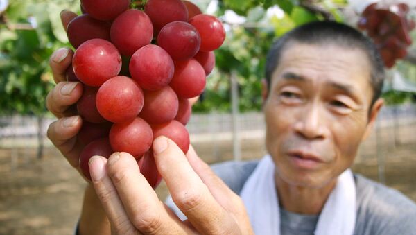 “罗马红宝石” - 俄罗斯卫星通讯社