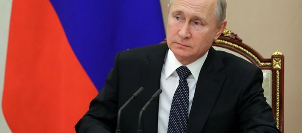 俄罗斯总统普京 - 俄罗斯卫星通讯社