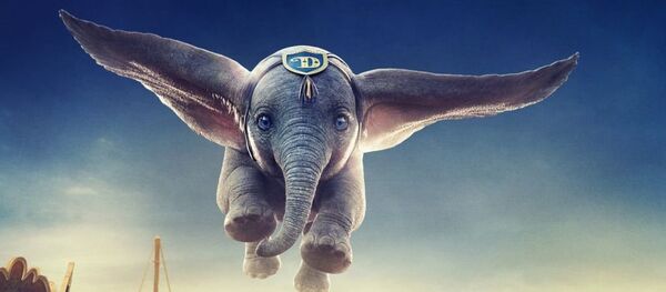 绝无仅有的有“耳朵”的章鱼被拍下 - 俄罗斯卫星通讯社