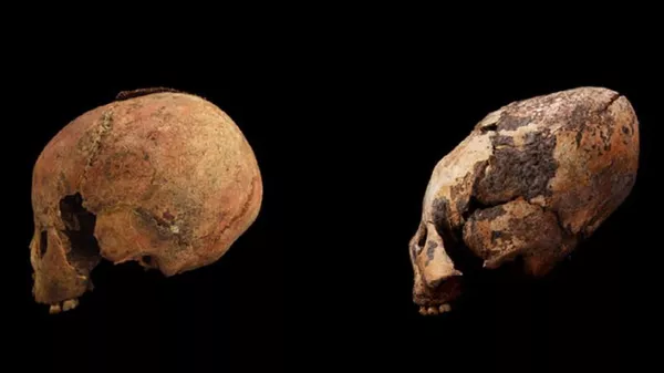 在中國發現了有12000年歷史的變形頭骨 在中國發現了有12000年歷史的變形頭骨 - 俄羅斯衛星通訊社