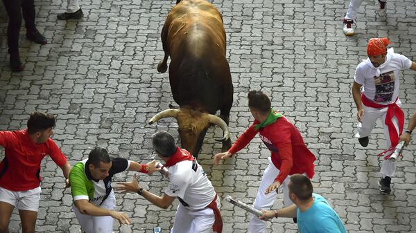 西班牙潘普洛纳奔牛节造成四人受伤 - 俄罗斯卫星通讯社