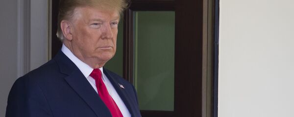 特朗普准备对越南发动贸易战 - 俄罗斯卫星通讯社