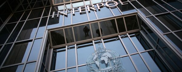 國際刑警組織與世界海關組織在聯合行動中沒收數千隻野生動物 國際刑警組織與世界海關組織在聯合行動中沒收數千隻野生動物 - 俄羅斯衛星通訊社