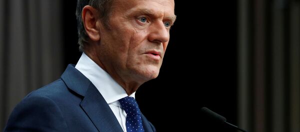 Председатель Европейского совета Дональд Туск - 俄罗斯卫星通讯社