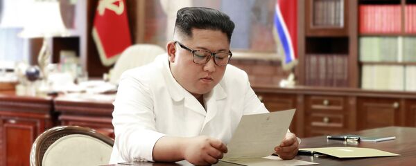 金正恩 - 俄罗斯卫星通讯社