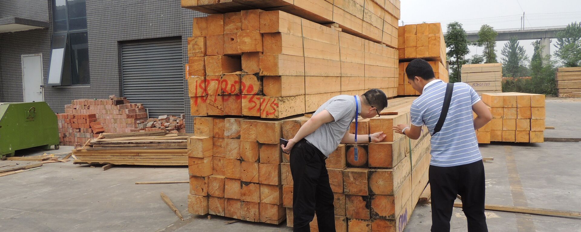 俄副总理：约42%的俄木材出口至中国 - 俄罗斯卫星通讯社, 1920, 21.10.2020