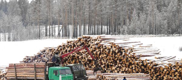 克拉斯諾亞爾斯克邊疆區鋸材倉庫 - 俄羅斯衛星通訊社