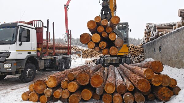 俄伊爾庫茨克州對華出口木材逾36.2萬立方米 - 俄羅斯衛星通訊社