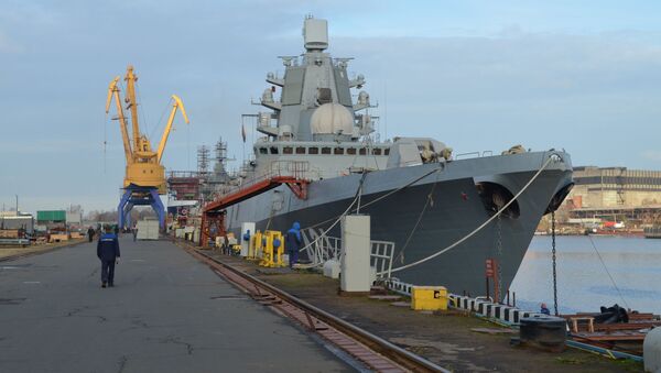 軍事專家談俄海軍急需的艦船類型 - 俄羅斯衛星通訊社