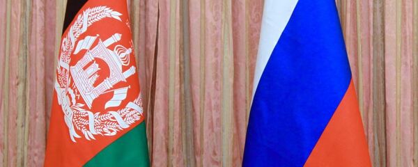 俄罗斯和巴基斯坦的国旗 - 俄罗斯卫星通讯社