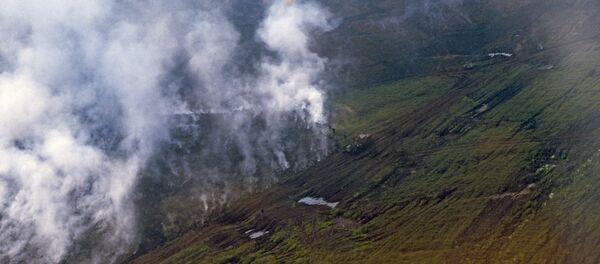 Продолжительная сухая и теплая погода на Чукотке стала причиной крупных пожаров в тундре - 俄羅斯衛星通訊社