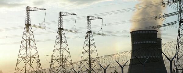 俄加里宁核电站变电站短路引发3个发电机组脱网 - 俄罗斯卫星通讯社